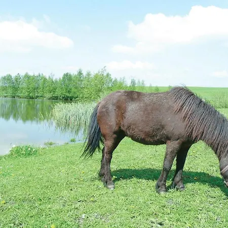 Appartamento One-bedroom In Borcz