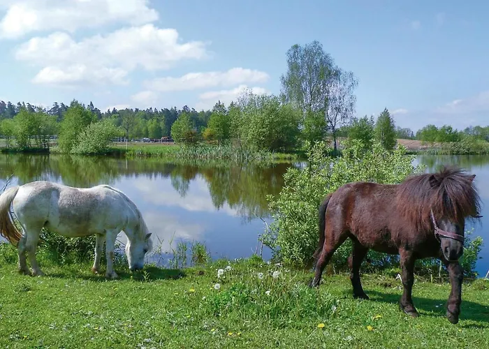 One-bedroom In Lägenhet