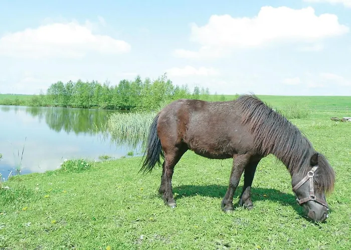Lägenhet One-bedroom In Borcz